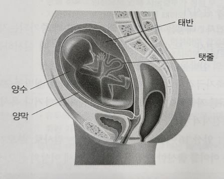 756e500ea1f9f97b45dc85c08fcdf765_1698305163_4723.JPG